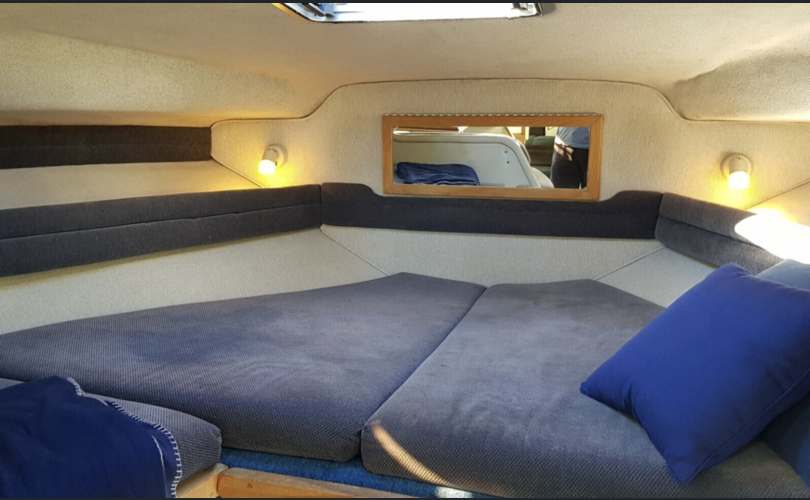 Sea Ray 290 SDA-kuva-10